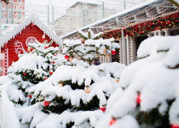 Similar image 21199448