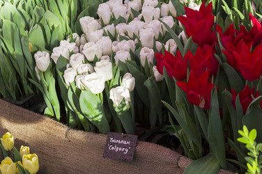 Similar image 21201267