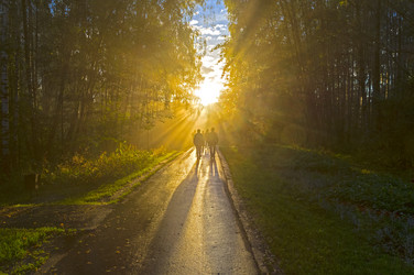 Similar image 21201268