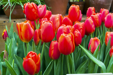 Similar image 21201277