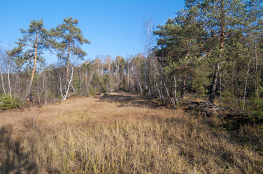 Similar image 21201278