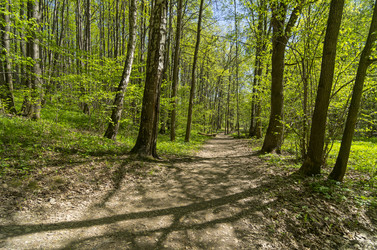 Similar image 21201270