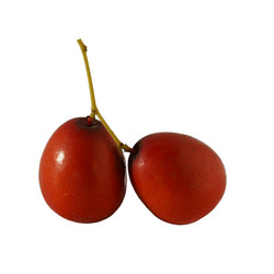 Similar image 21198592