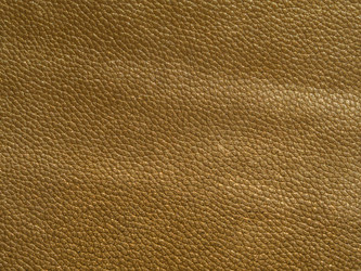 Similar image 21198594