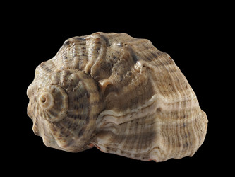 Similar image 21198595