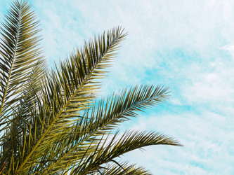 Similar image 21198530