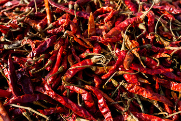 Similar image 21198536