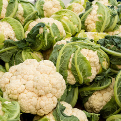 Similar image 21198540