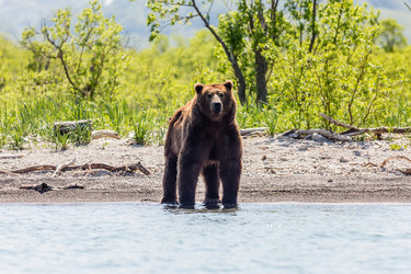 Similar image 21198541