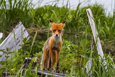 Similar image 21198544