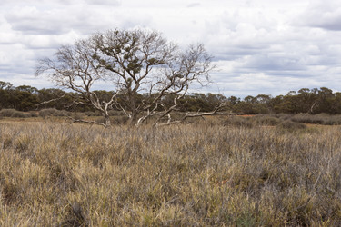 Similar image 21198548