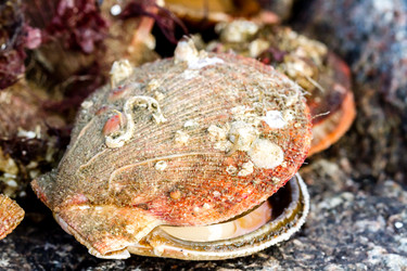 Similar image 21198551