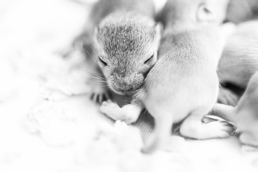 Similar image 21198560