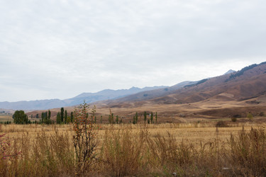 Similar image 21199307