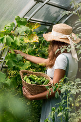 Similar image 21199495