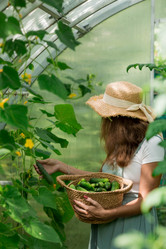 Similar image 21199496