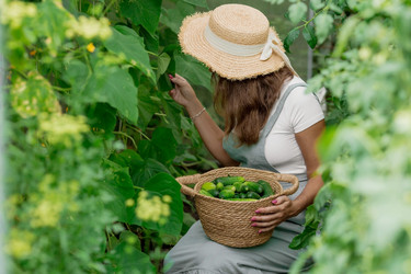 Similar image 21199497