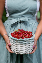 Similar image 21199499