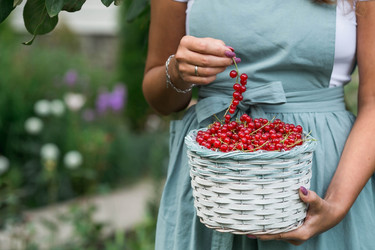 Similar image 21199500