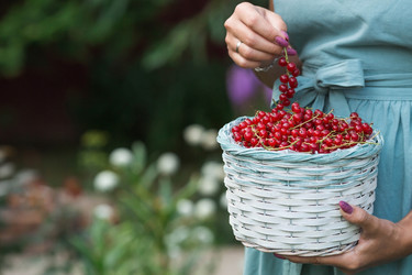 Similar image 21199501