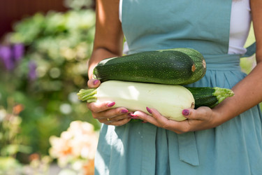 Similar image 21199506