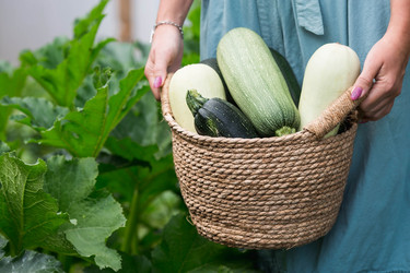 Similar image 21199508