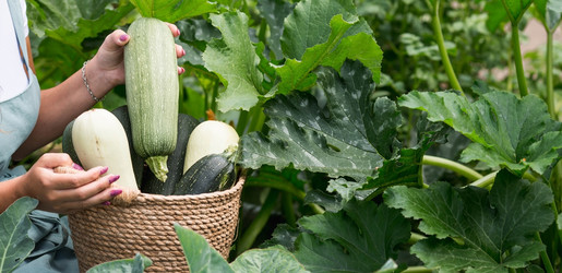 Similar image 21199509