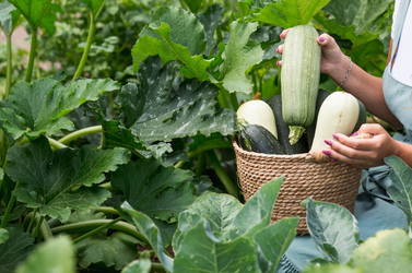 Similar image 21199510