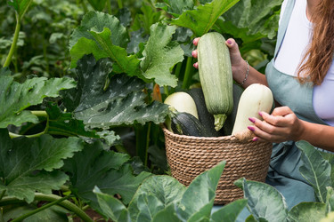 Similar image 21199511