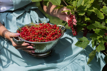 Similar image 21199514