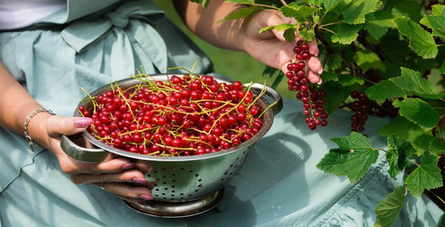 Similar image 21199515