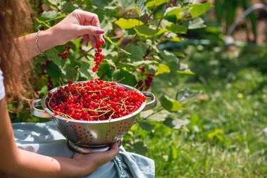 Similar image 21199516