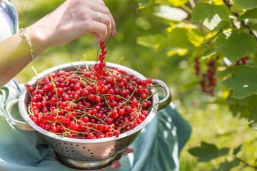 Similar image 21199518