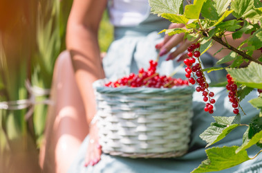 Similar image 21199520