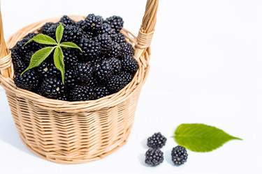 Similar image 21199522