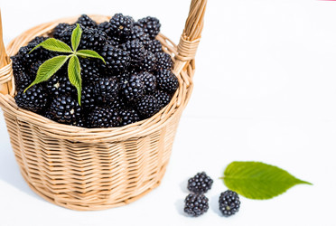 Similar image 21199523