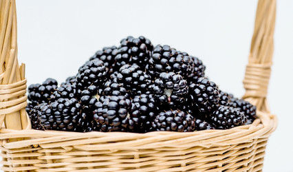 Similar image 21199527