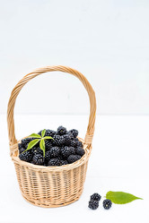 Similar image 21199528