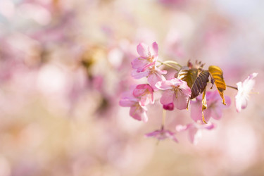 Similar image 21199530