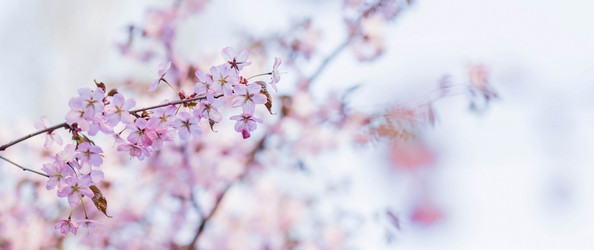 Similar image 21199533