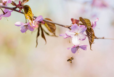 Similar image 21199534