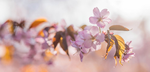 Similar image 21199535