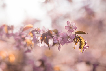 Similar image 21199536