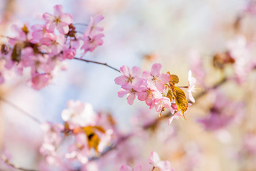 Similar image 21199537