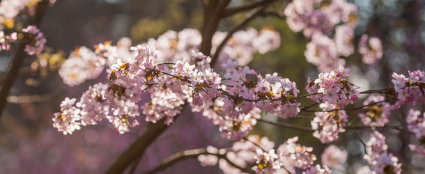 Similar image 21199538