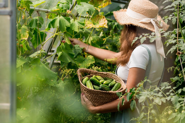 Similar image 21199540