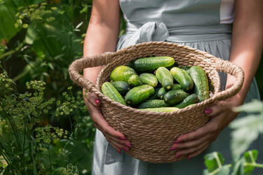 Similar image 21199541