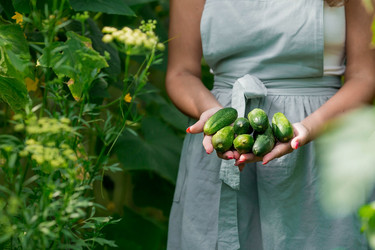 Similar image 21199542