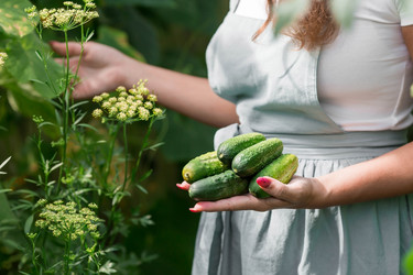 Similar image 21199543