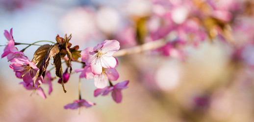 Similar image 21199742